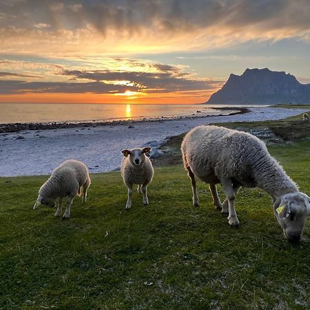 Fisherman'S Cabin, Lofoten - 24 Bardbua Ballstad Εξωτερικό φωτογραφία
